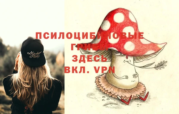 гидра Анива