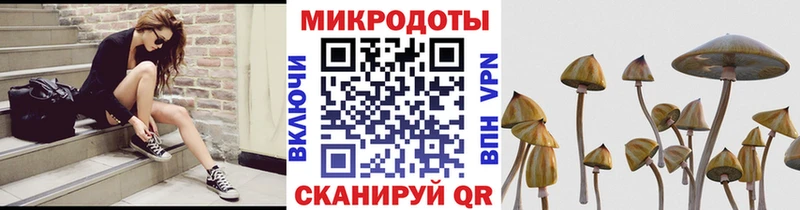 mega где купить наркотик Тында Галлюциногенные грибы MAGIC MUSHROOMS