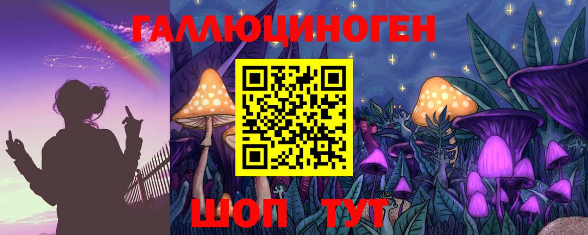 Псилоцибиновые грибы Psilocybine cubensis  Тында 