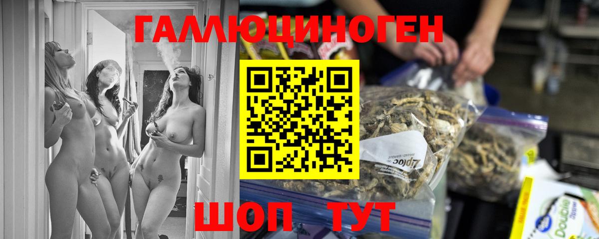 Галлюциногенные грибы Psilocybine cubensis Тында